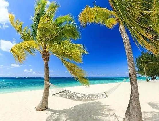 Luxury Coral Dream location